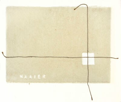 Naaier by Angelique Bougaard, contemporary African artwork