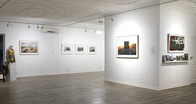 Guns and Rain gallery installation view, Johannesburg